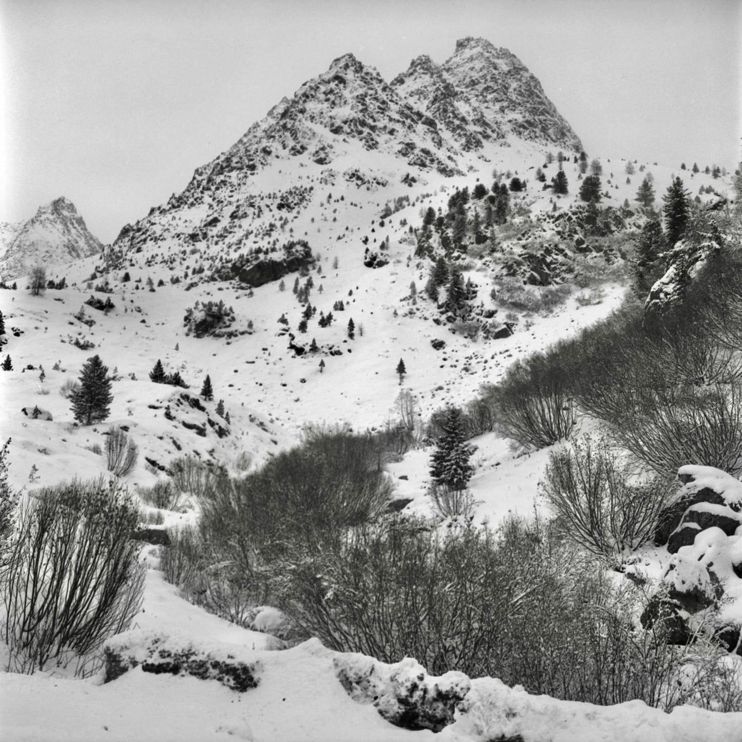 Analog Photography - "Three peaks"
