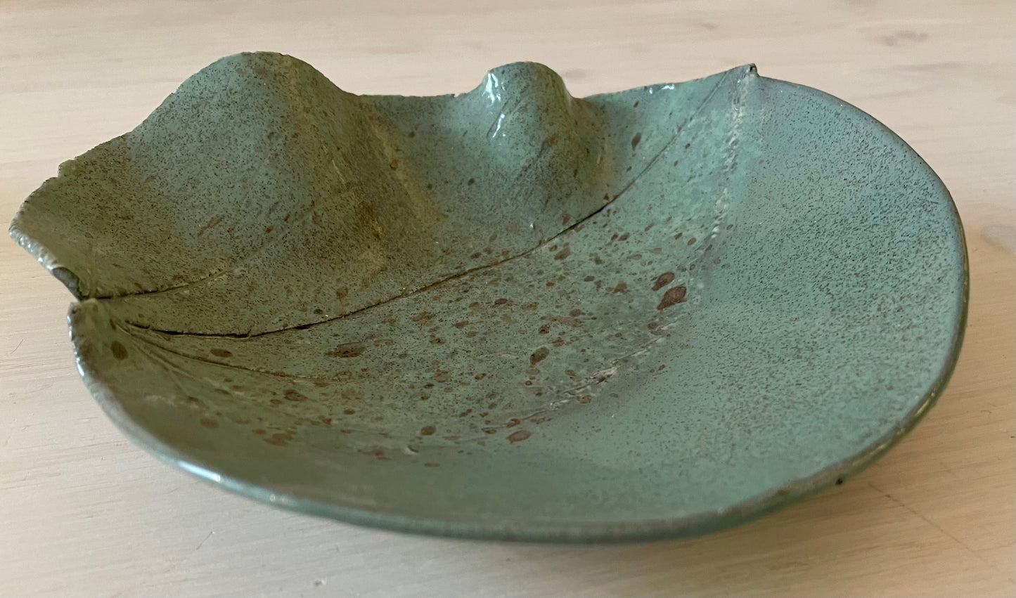 Ceramic Bowl